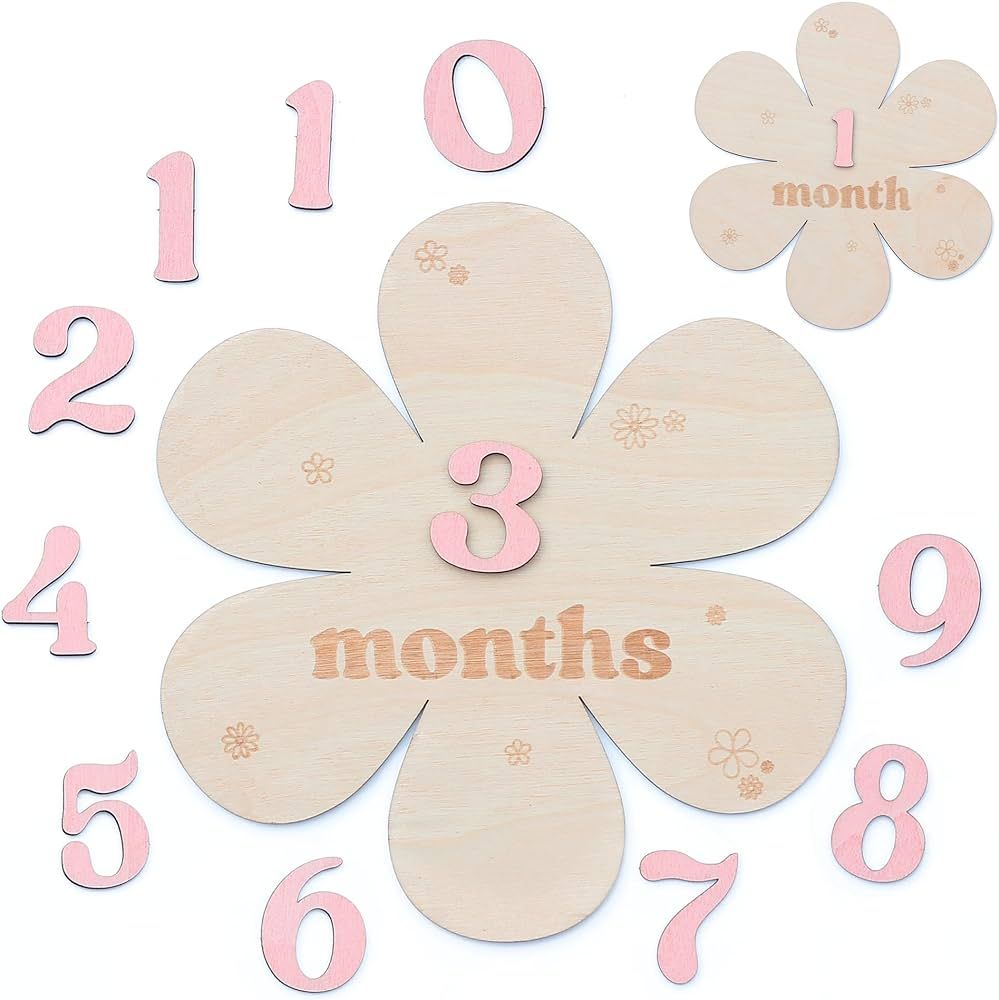 Baby Monthly Milestone Cards - Wooden Monthly Milestone Discs - Newborn Photography Props to Docu... | Amazon (US)