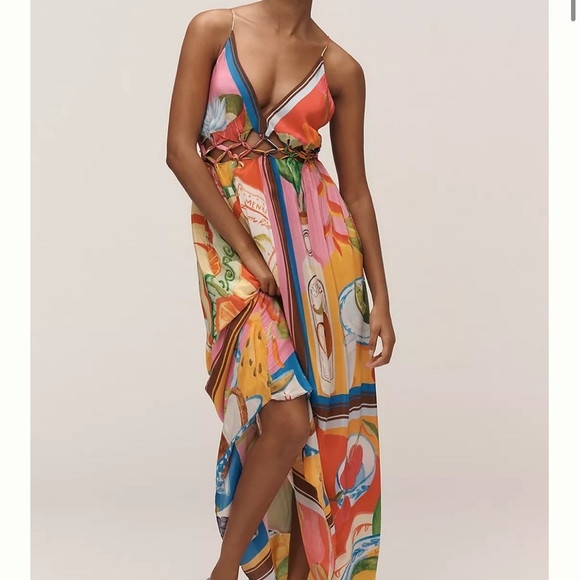 Farm Rio Sleeveless V-Neck Cutout A-Line Maxi Dress (worn once) | Poshmark