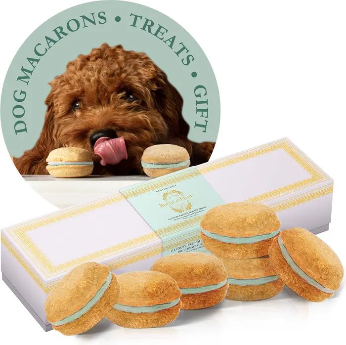 BONNE ET FILOU Mint Macarons Dog Treats | Nordstrom | Nordstrom
