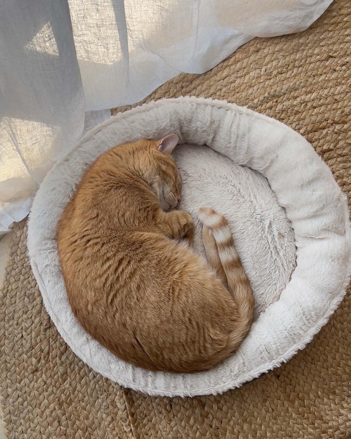 La morbidezza

#LTKfindsunder100 #LTKstyletip #LTKfamily