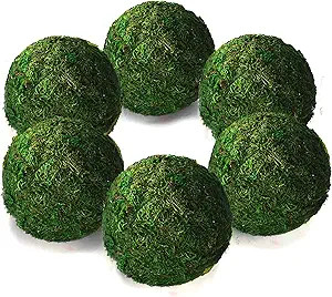 Qingbei Rina Moss Balls Decorative Bowl Fillers for Centerpiece,4 Inch Set of 6,Large Moss Balls ... | Amazon (US)