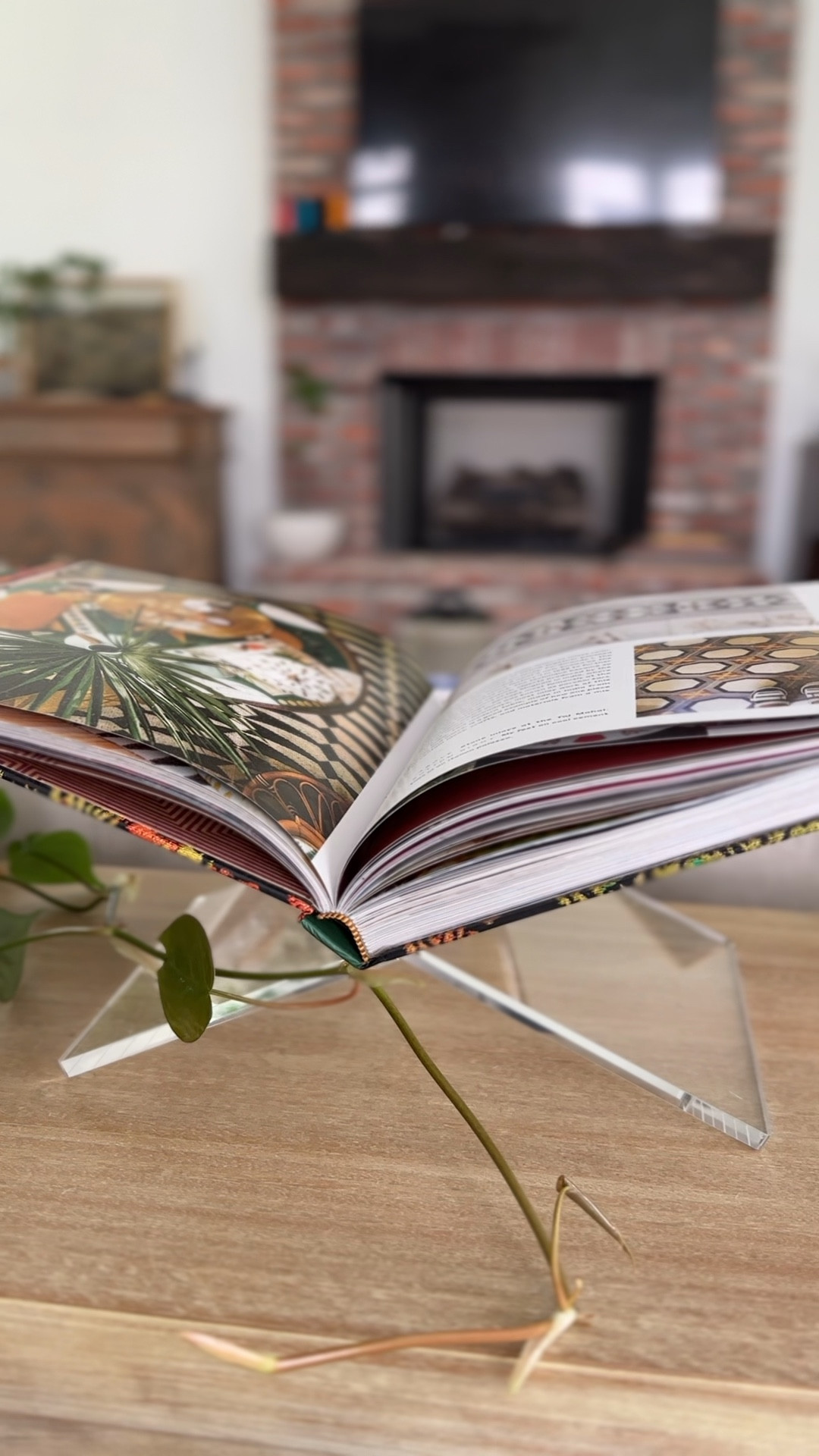 Put your favorite coffee table books on display with this acrylic stand. It will elevate your table decor. 

#LTKFind #LTKhome #LTKunder50