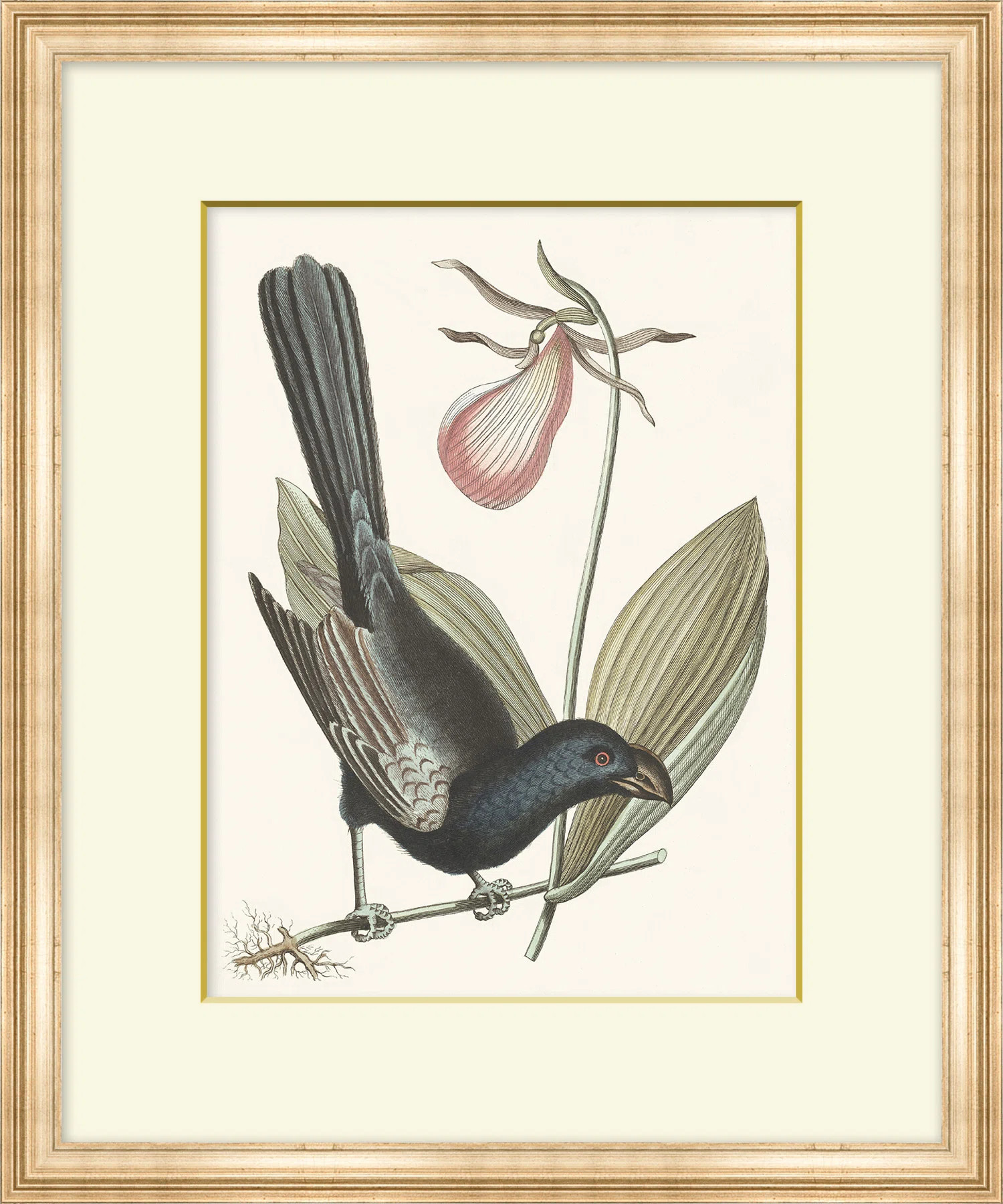 Wendover Art Group Summer Bird 6 - Picture Frame Painting on Paper | Wayfair | Wayfair North America