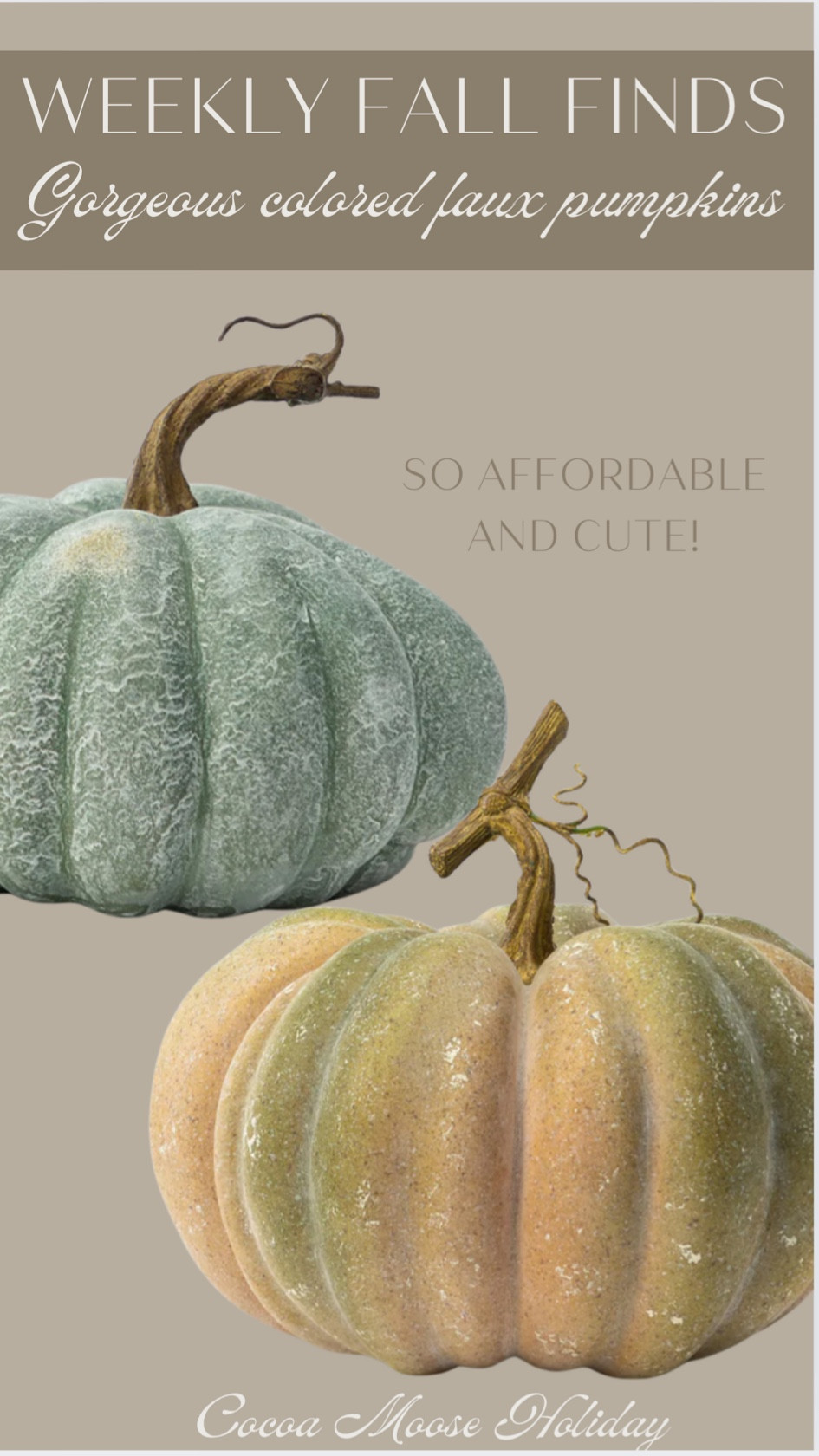Gorgeous toned faux pumpkins, faux pumpkins, Halloween, fall decor, fall pumpkins, living room decor, fall mantle, McGee co, fall home, home styling 

#LTKFindsUnder100 #LTKHome #LTKSeasonal
