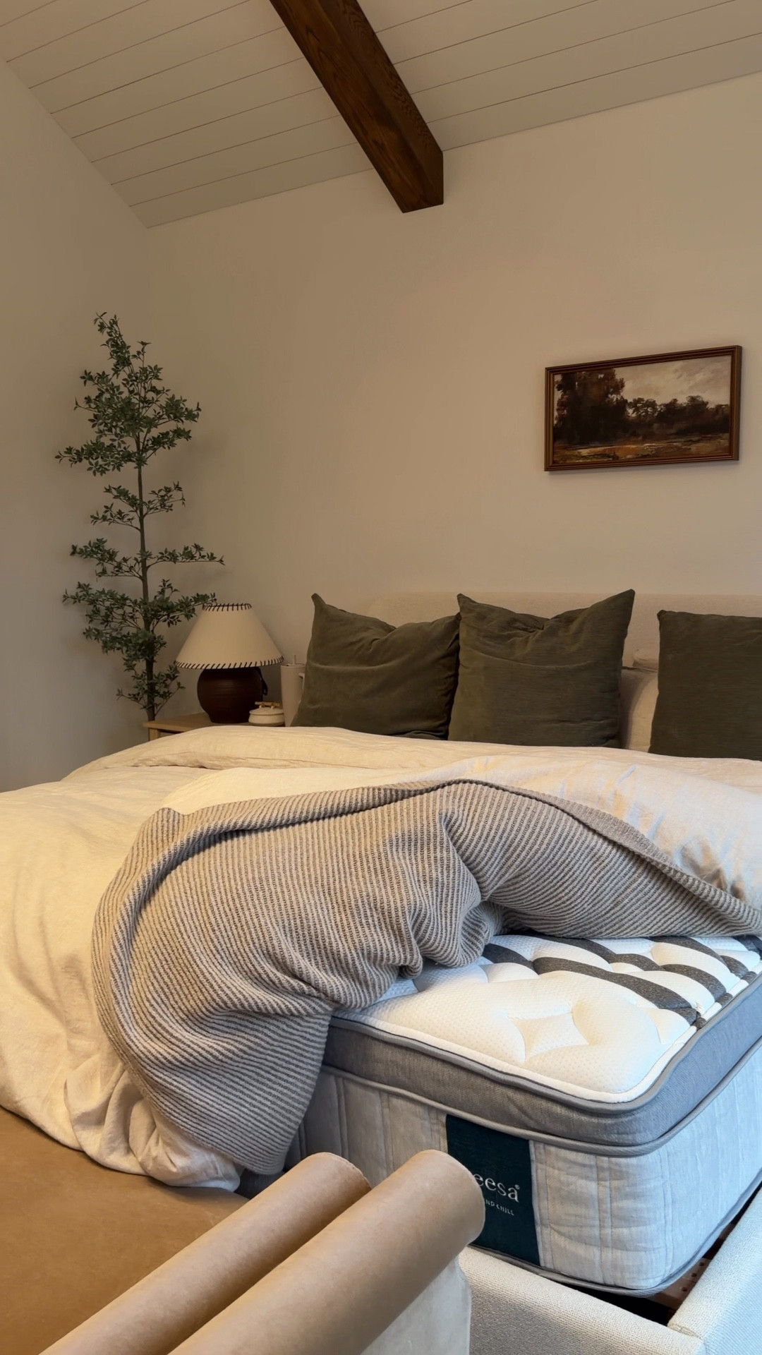 We completely renovated our bedroom but the best change we made was getting a new mattress from @leesasleep! Ours is the Legend Chill Hybrid and it’s SO amazing. It’s not too soft and not too firm, has an advanced cooling feature, and we seriously have never slept so well in our lives. Take advantage of their extended Cyber Monday sale from Dec 9th-15 to and get 25% off your purchase + $50 with my code CAROLINA #LeesaPartner



#LTKHome