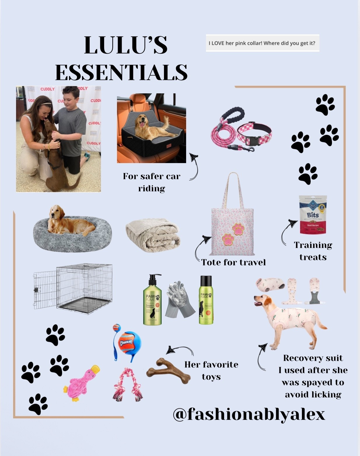 Wanted to share the essentials we bought for our Lulu girl! 💝🐶

#LTKFamily #LTKSaleAlert #LTKPets