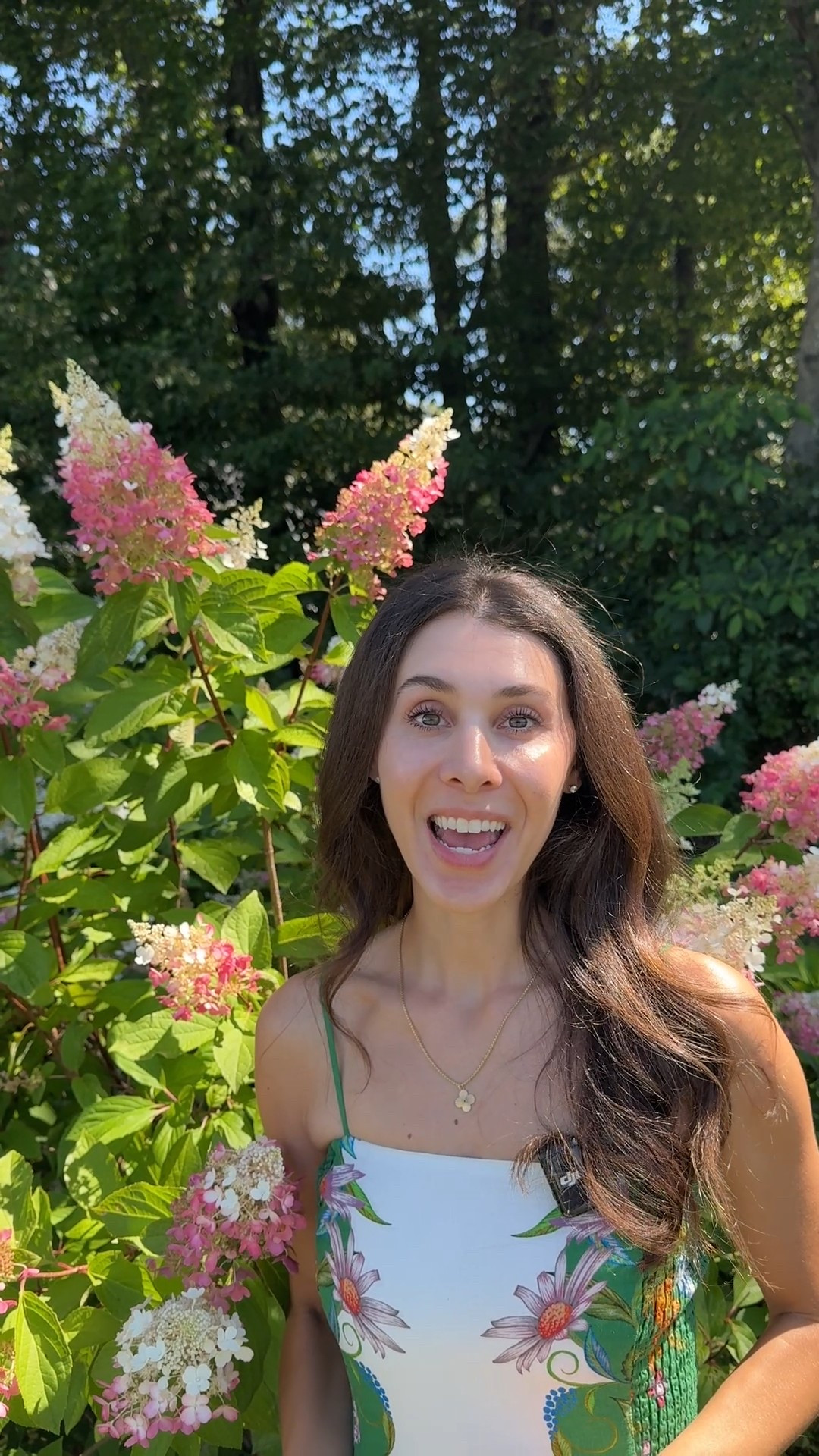 Hydrangea wreath tutorial coming soon. Here are the supplies you’ll need  

#LTKSaleAlert #LTKHome #LTKSeasonal