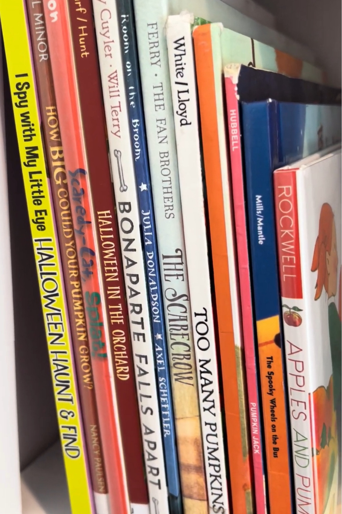 October Book Favorites for Kids

#booklist #tbr #picturebooks #bookfavorites #octoberreadinglist #octobertbr

#LTKSeasonal #LTKKids #LTKHalloween