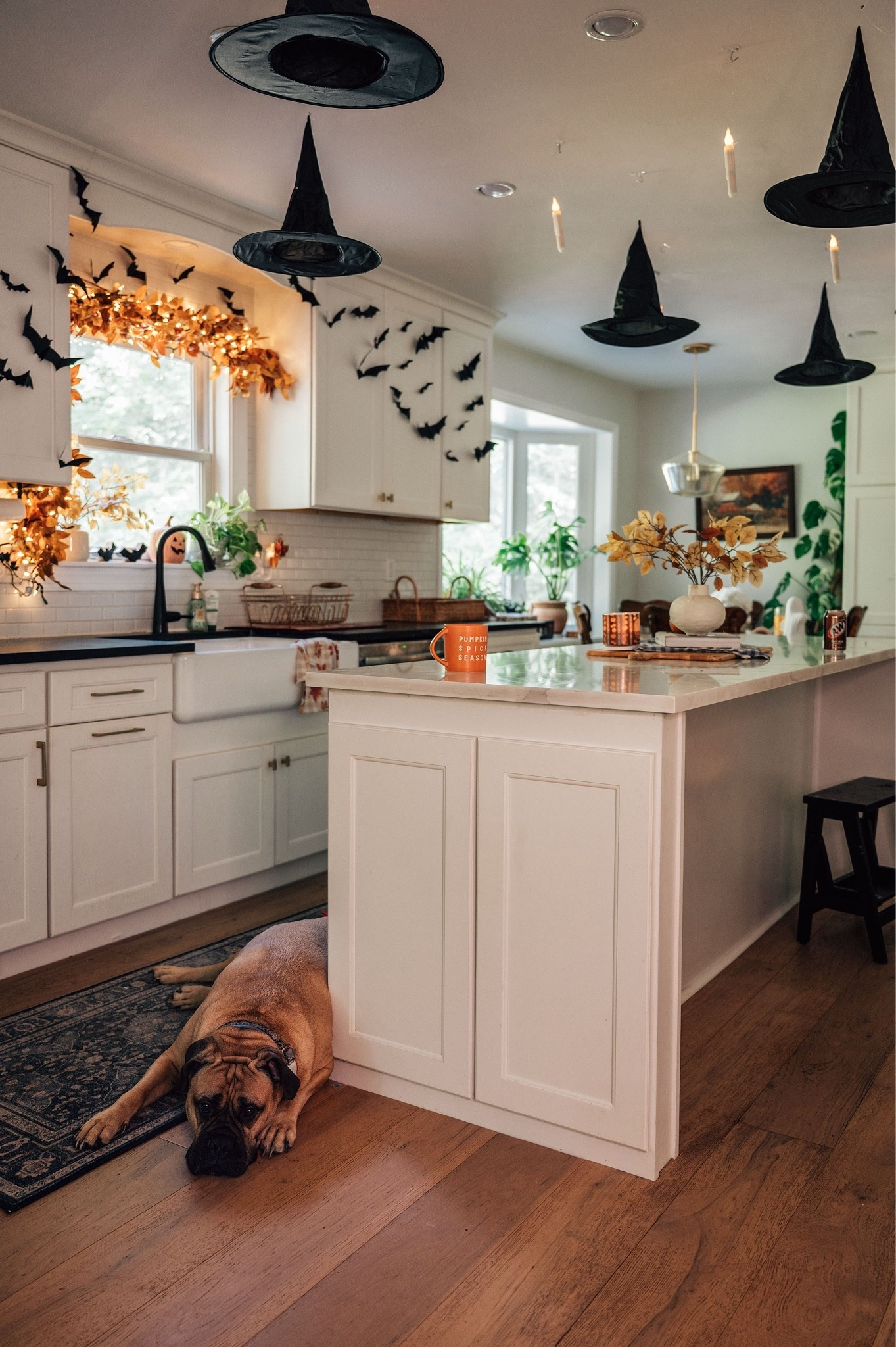 making the kitchen a little more magical for october 🎃🍂 floating witch hats, candles + cozy halloween touches that make such a big impact without going overboard. linking the halloween decor + a few of my favorite fall kitchen finds 🕯️