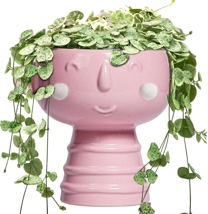 Smiley Face Planter - 7 Inch Ceramic Head Planter for Indoor Outdoor Plants, Cute Succulent Pots ... | Amazon (US)