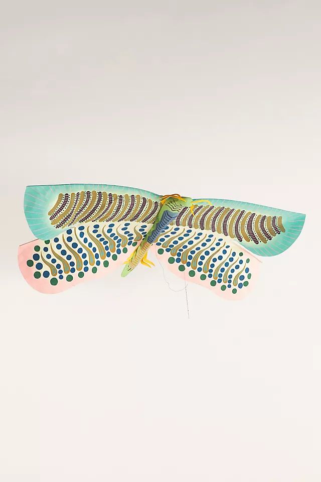 Dragonfly Kite | Anthropologie (US)