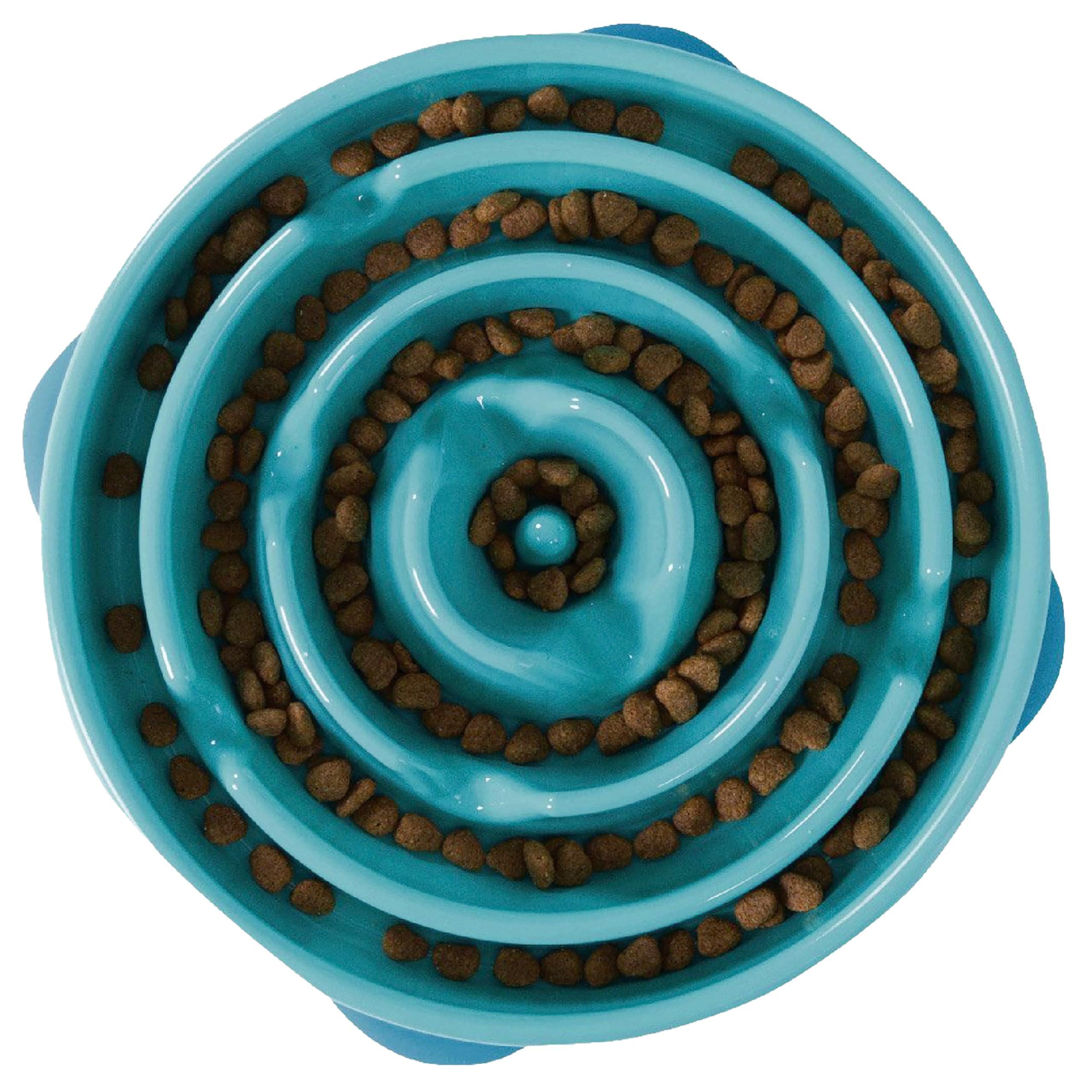 Outward Hound Fun Feeder Slo Bowl, Slow Feeder Dog Bowl, Large/Regular, Turquoise | Amazon (US)