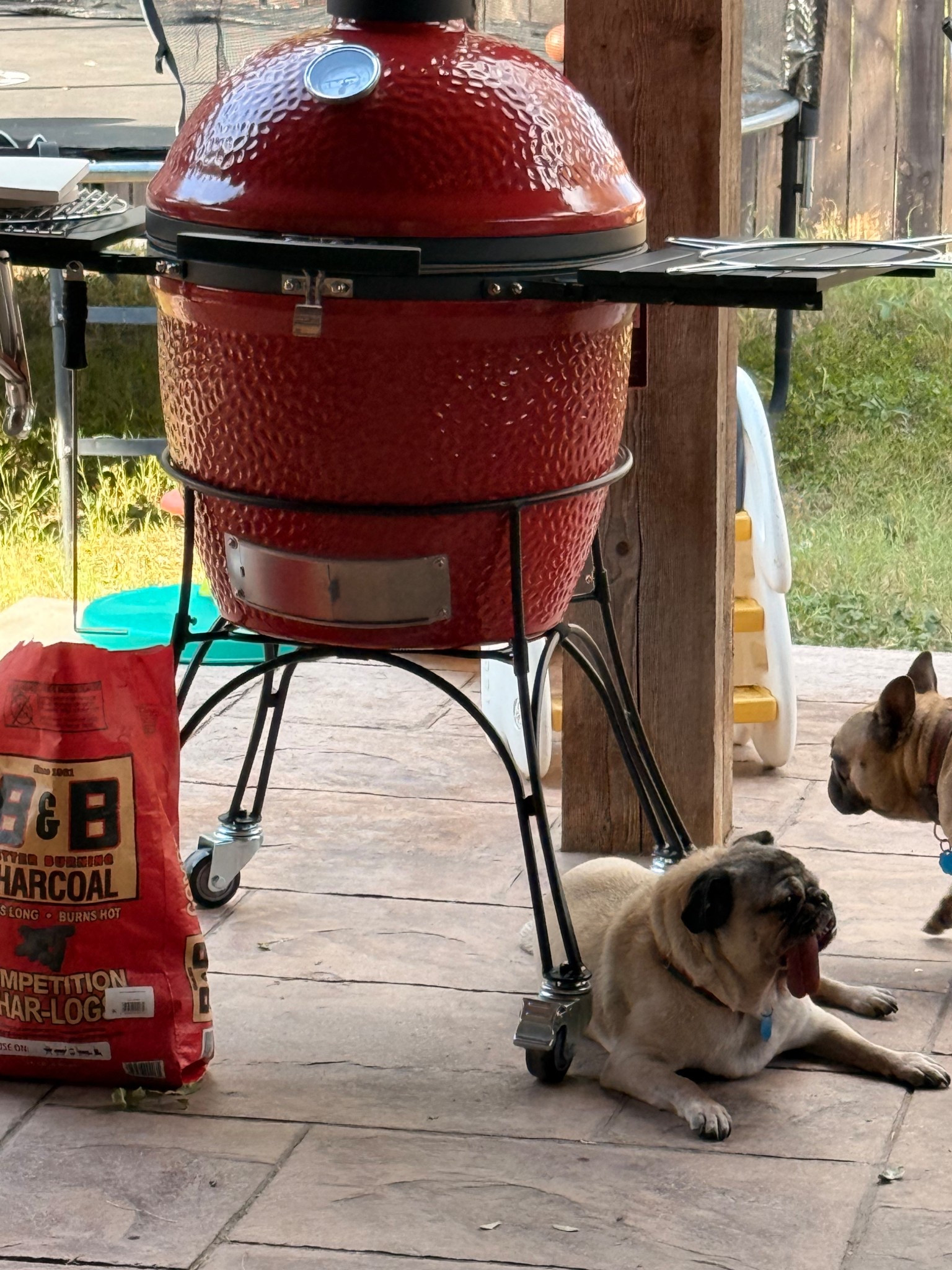 Our newest member of our grill crew! My husband is obsessed and the food came out to perfection! 

Perfect gift for the man in your life for birthday, Christmas or just because! 

We got one for early Christmas present for Grandpa also! 

#LTKGiftGuide #LTKHoliday #LTKHome