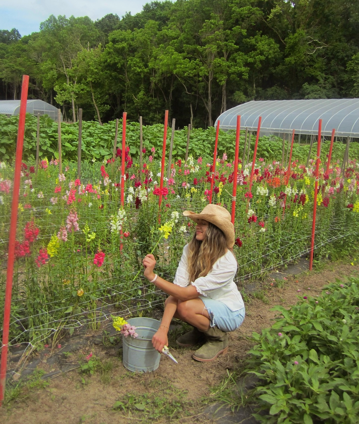 summer is officially starting 🌞🌷🐝🍉