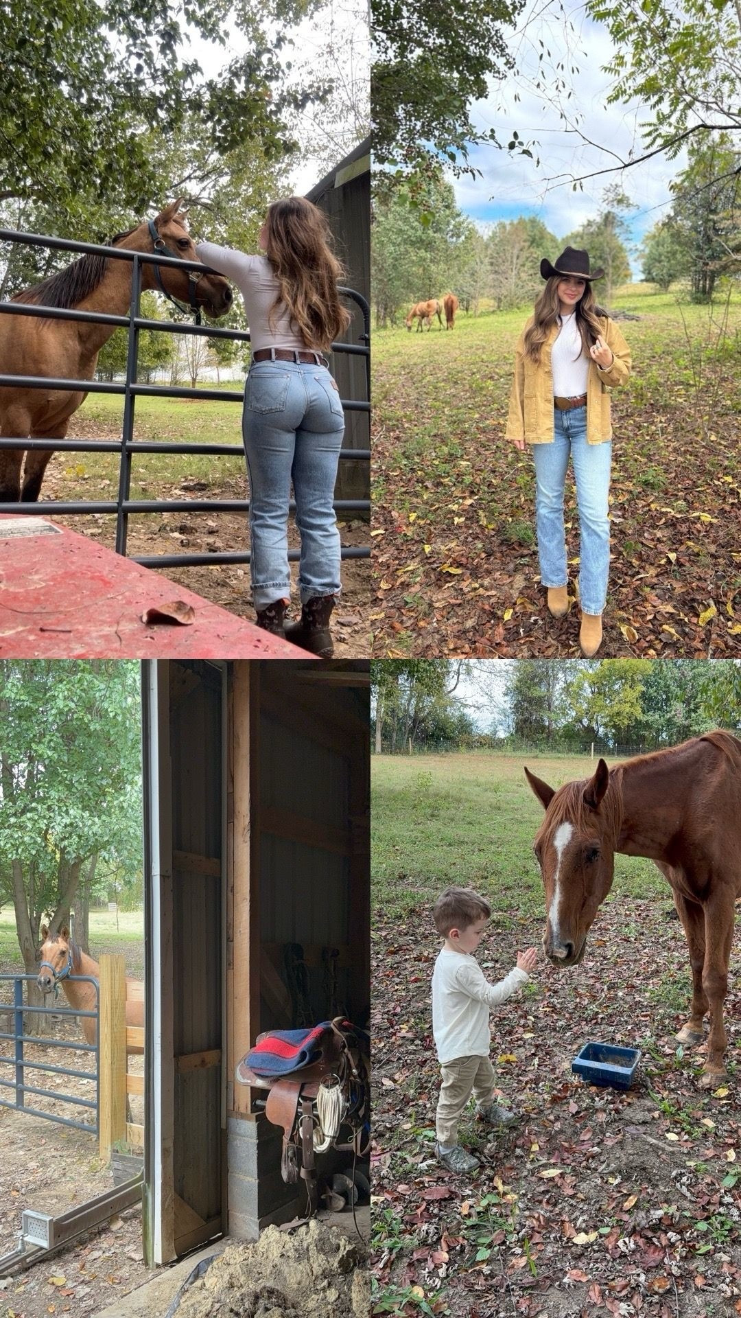 Fall on the farm

#LTKKids #LTKPets #LTKFamily