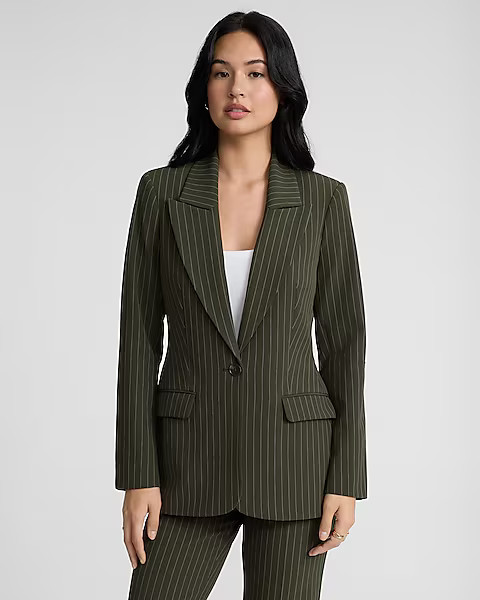 Pinstripe Long Slim Blazer | Express