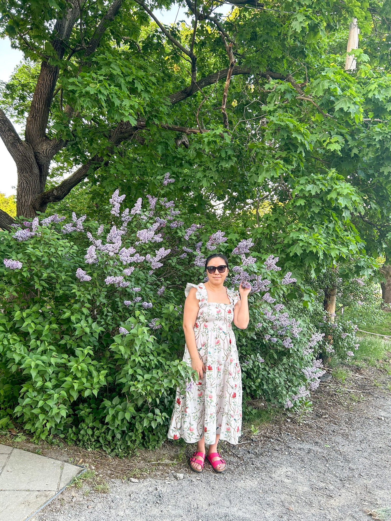 Lilacs are in full bloom. Nice Saturday to walk around the neighborhood with kids. I’m wearing Hill House dress and Birkenstock sandals. I got so many compliments on my bright pink Birkenstocks all the time!