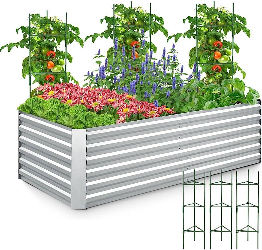 Quictent Galvanized Raised Garden Bed 6x3x2 Ft with 3 pcs Tomato Cage 1 pc Weed Barrier Gloves, B... | Amazon (US)