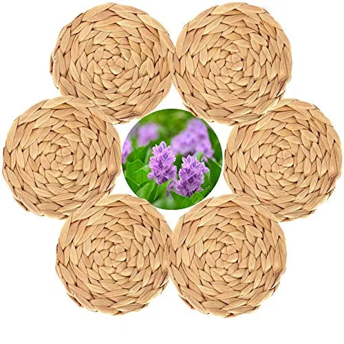 Pakalii Living Woven Coasters - Absorbent Coasters for Drinks - Seagrass Coasters Set of 6 - Roun... | Walmart (US)