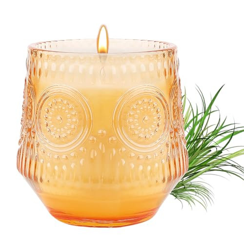 Citronella Scented Candles - Candles for Home Scented, 7oz Luxury Soy Candles, Aromatherapy Candle Gifts for Women/Men/Firends | Amazon (US)