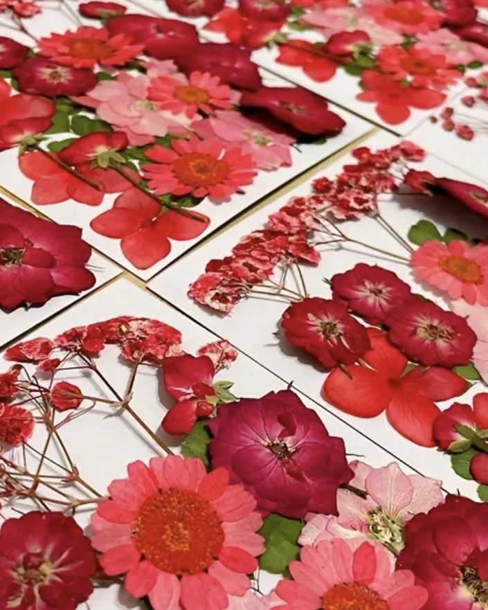 Dried florals for wedding

#LTKfindsunder50 #LTKwedding #LTKSeasonal