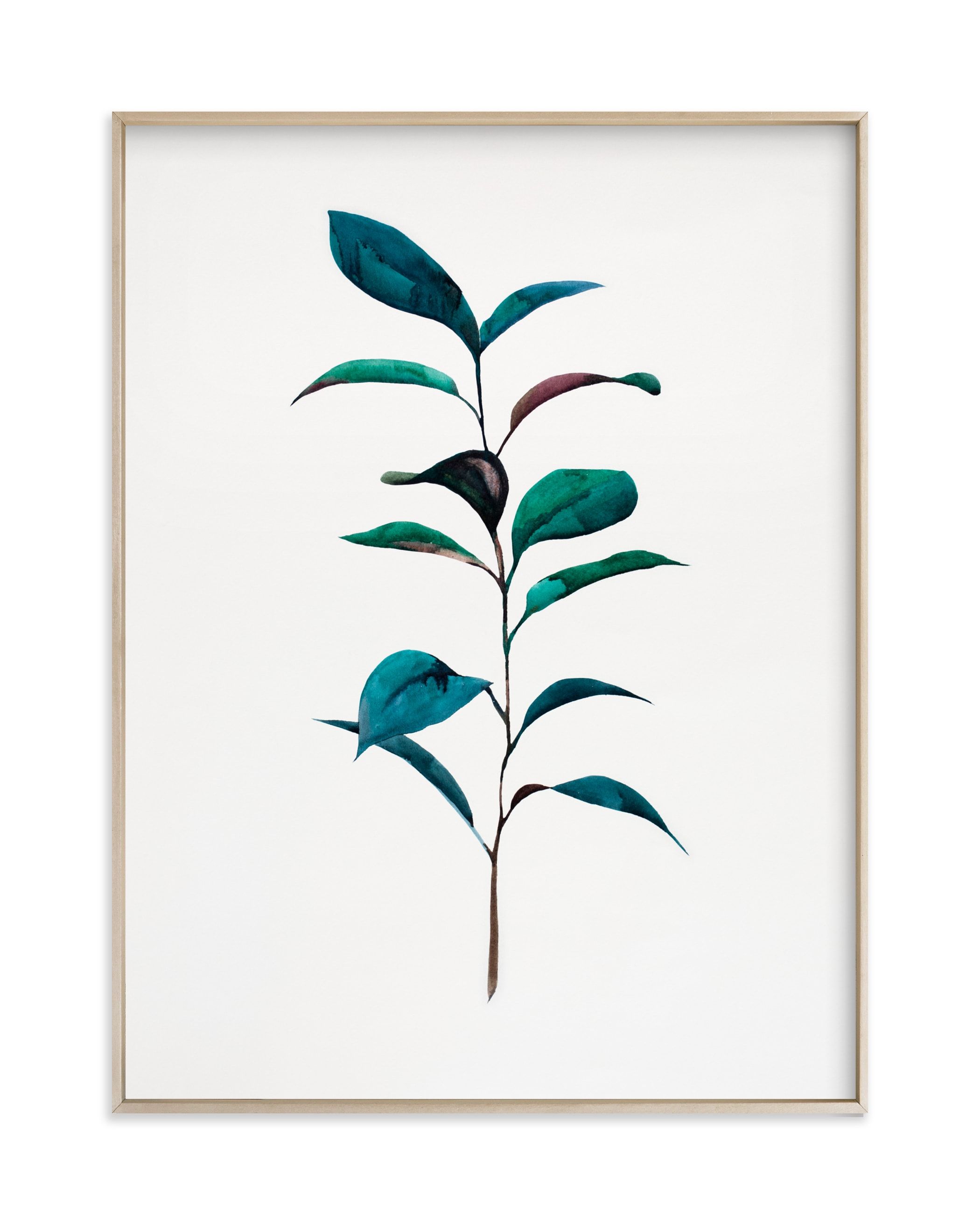 "Ruscus" - Grownup Open Edition Non-custom Art Print by jinseikou. | Minted