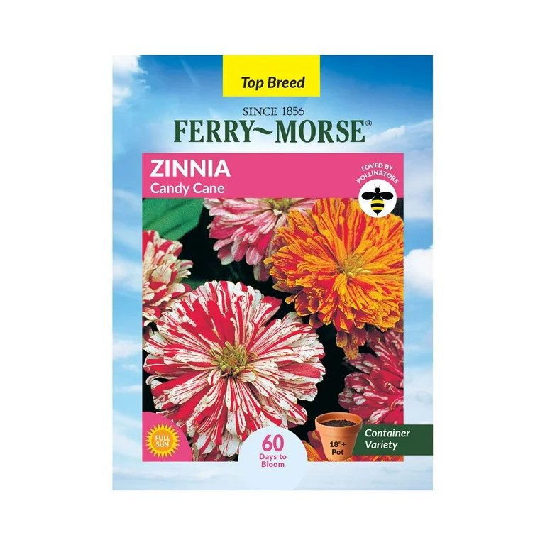 Ferry-Morse 400MG Zinnia Candy Cane Annual Flower Seeds, Full Sun | Walmart (US)