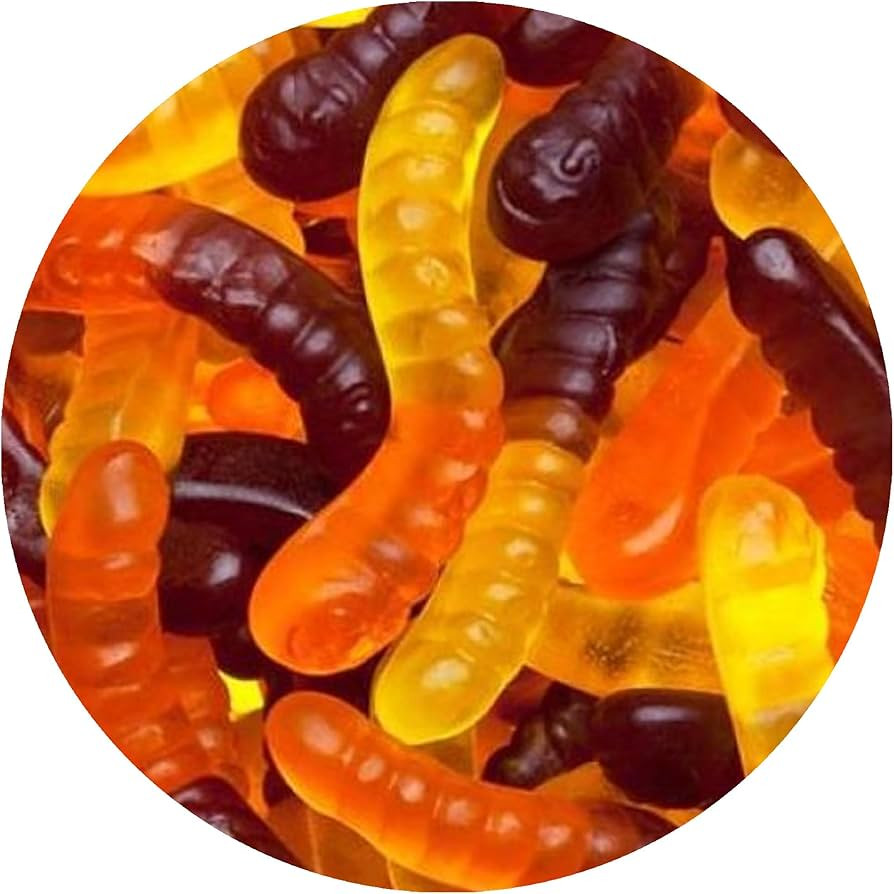 Fall Mini Gummy Worms, Halloween Candy Bulk, Assorted Fruit Flavors, The Hampton Popcorn & Candy ... | Amazon (US)