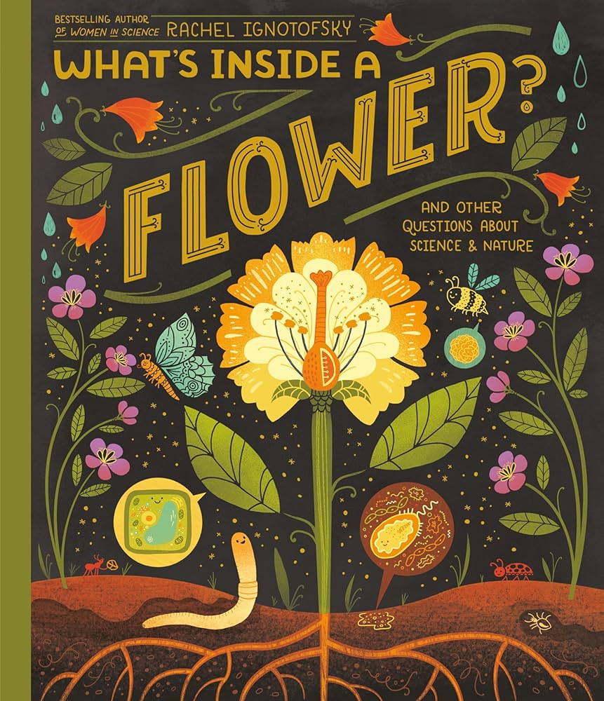 What's Inside A Flower?: And Other Questions About Science & Nature | Amazon (US)