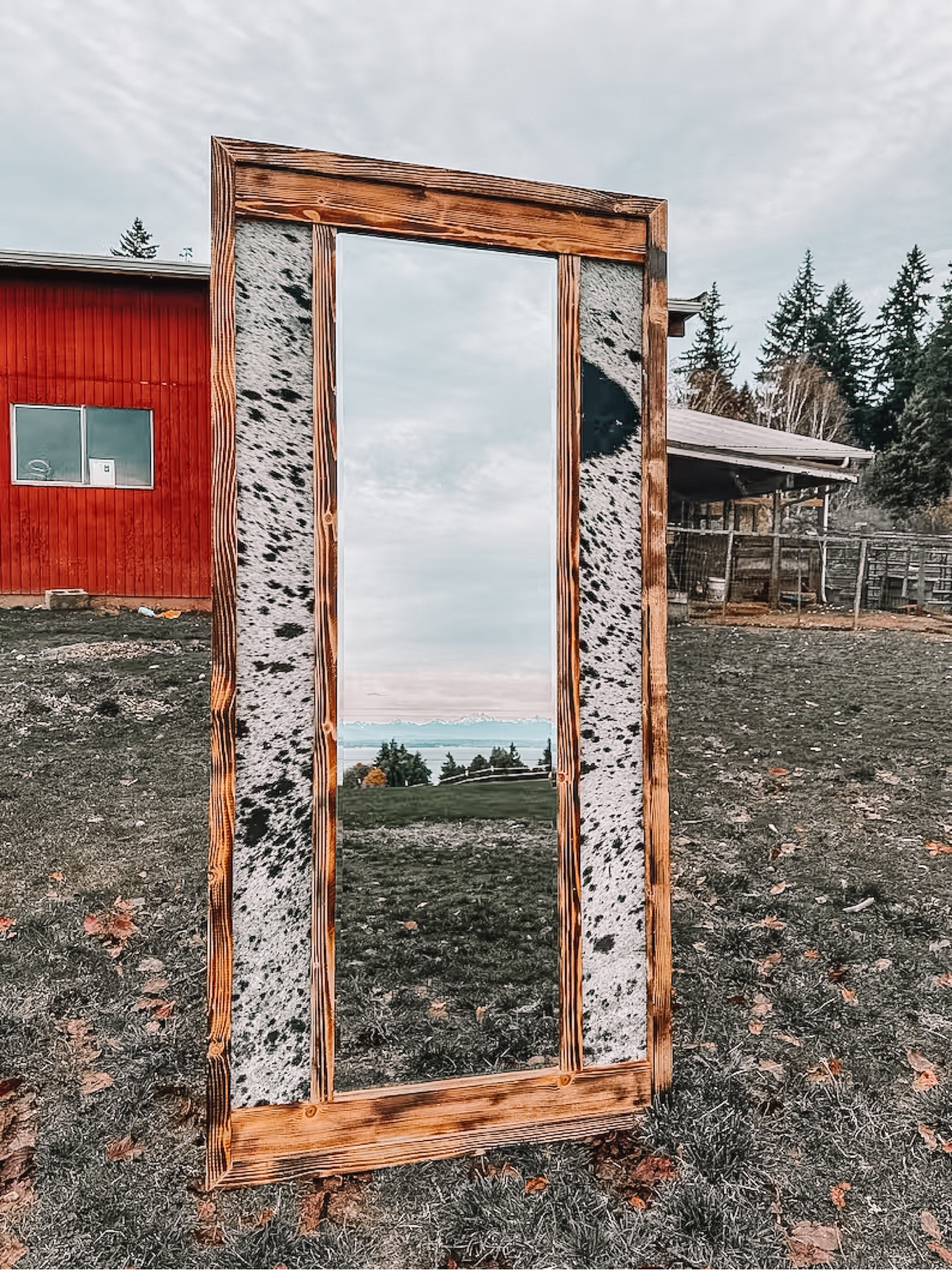 Cowhide western mirror! 