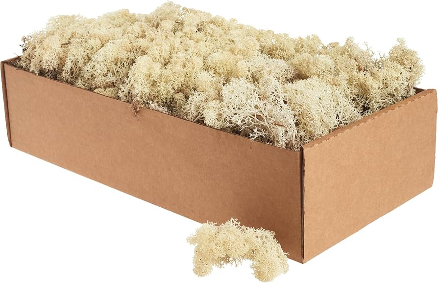 Islandmoos - Moos in 5 versch. Farben 250gr / 500 gr / 1Kg echtes konserviertes Natur Moos zum Mo... | Amazon (DE)