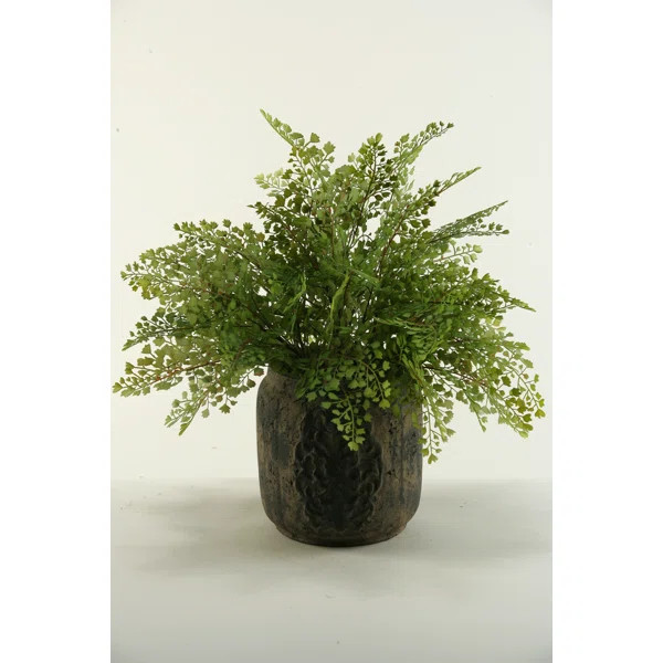 20'' Faux Fern Plant in Ceramic Planter | Wayfair North America