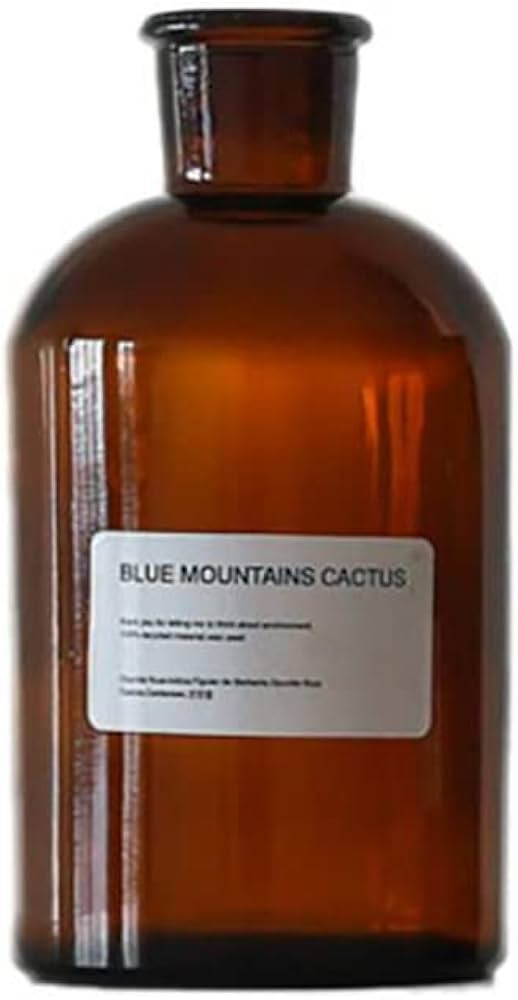 Amber Glass Bud Vase, 1pc Empty Vintage Floral Vase, Decorative Glass Bottle, Brown Apothecary Ja... | Amazon (US)