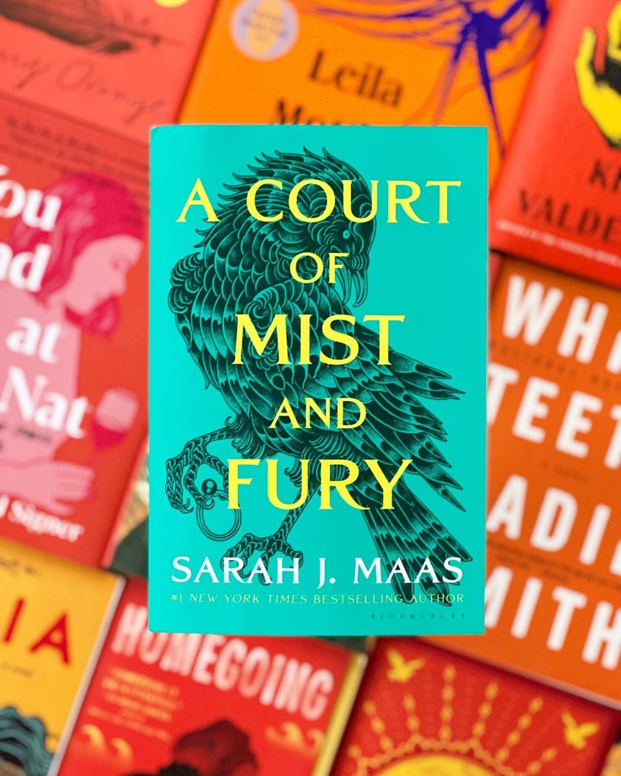 Sarah J. Maas
A Court of Mist and Fury (A Court of Thorns and Roses Book 2)
4.8
4.8 out of 5 stars
(293,733)
4.6 on Goodreads (3,261,378)
Editors' pick  Goodreads Choice  Best of #BookTok
Book 2 of 7: A Court of Thorns and Roses
 | Amazon (US)
