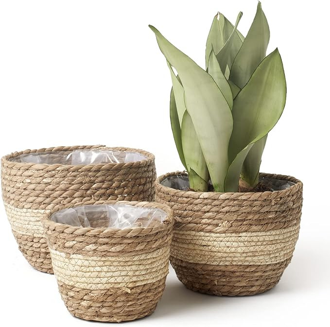 La Jolie Muse Seagrass Planter Basket Indoor Outdoor, Flower Pots Cover, Plant Containers, Beige,... | Amazon (CA)