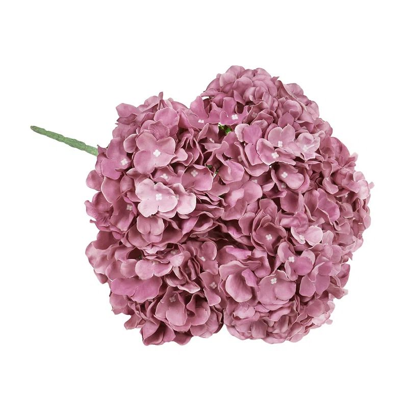 Primrue Deluxe Hydrangea Bush | Wayfair | Wayfair North America