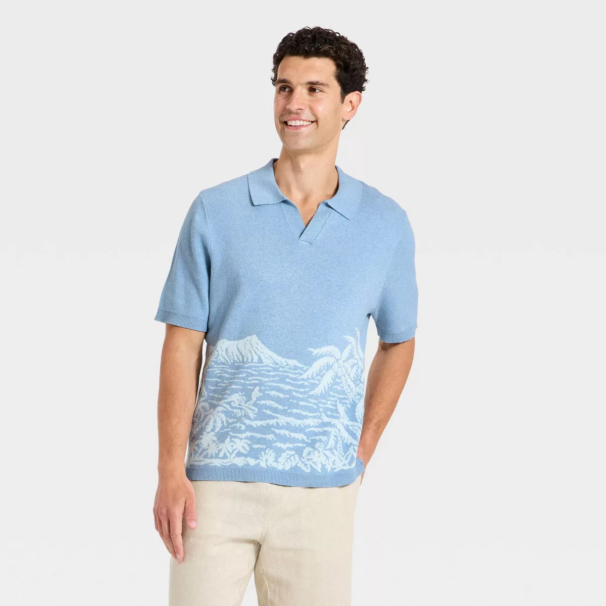 Men's Short Sleeve Palm Tree Sweater Polo Shirt - Goodfellow & Co™ x Reyn Spooner Blue S | Target