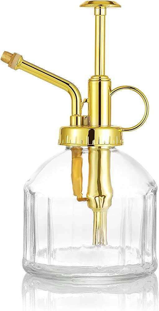 Ebristar Glass Plant Mister Spray Bottle, Succulent Watering Bottle with Golden Top Pump, Vintage... | Amazon (US)