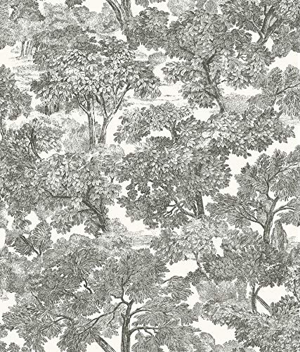 Chesapeake Black Spinney Toile Wallpaper, 3115-12542 | Amazon (US)
