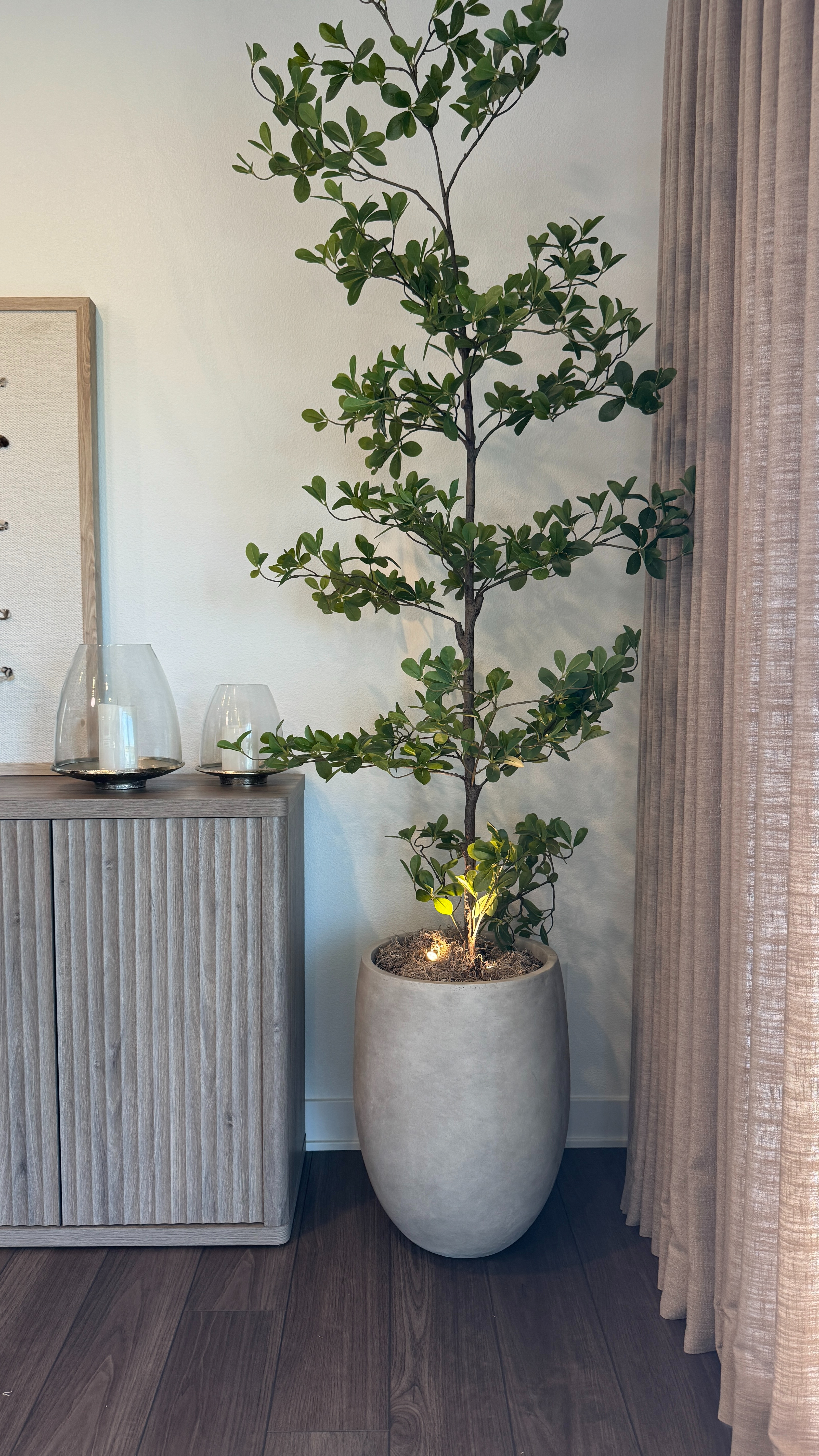 I love my black olive tree because it’s perfect for any corner that needs a little color without a lot of fuss, and I use moss to fill the planter with subtle plant lights to softly highlight it at night. 

 

#LTKHome
