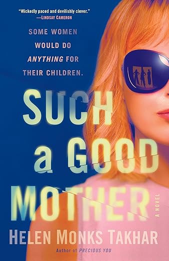 Such a Good Mother: A Novel      Paperback – August 2, 2022 | Amazon (US)