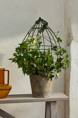 Teardrop Iron Trellis Frame | Terrain