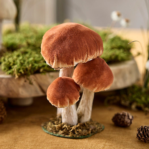 Velvet Mushrooms, Set of 3 Small | Terrain