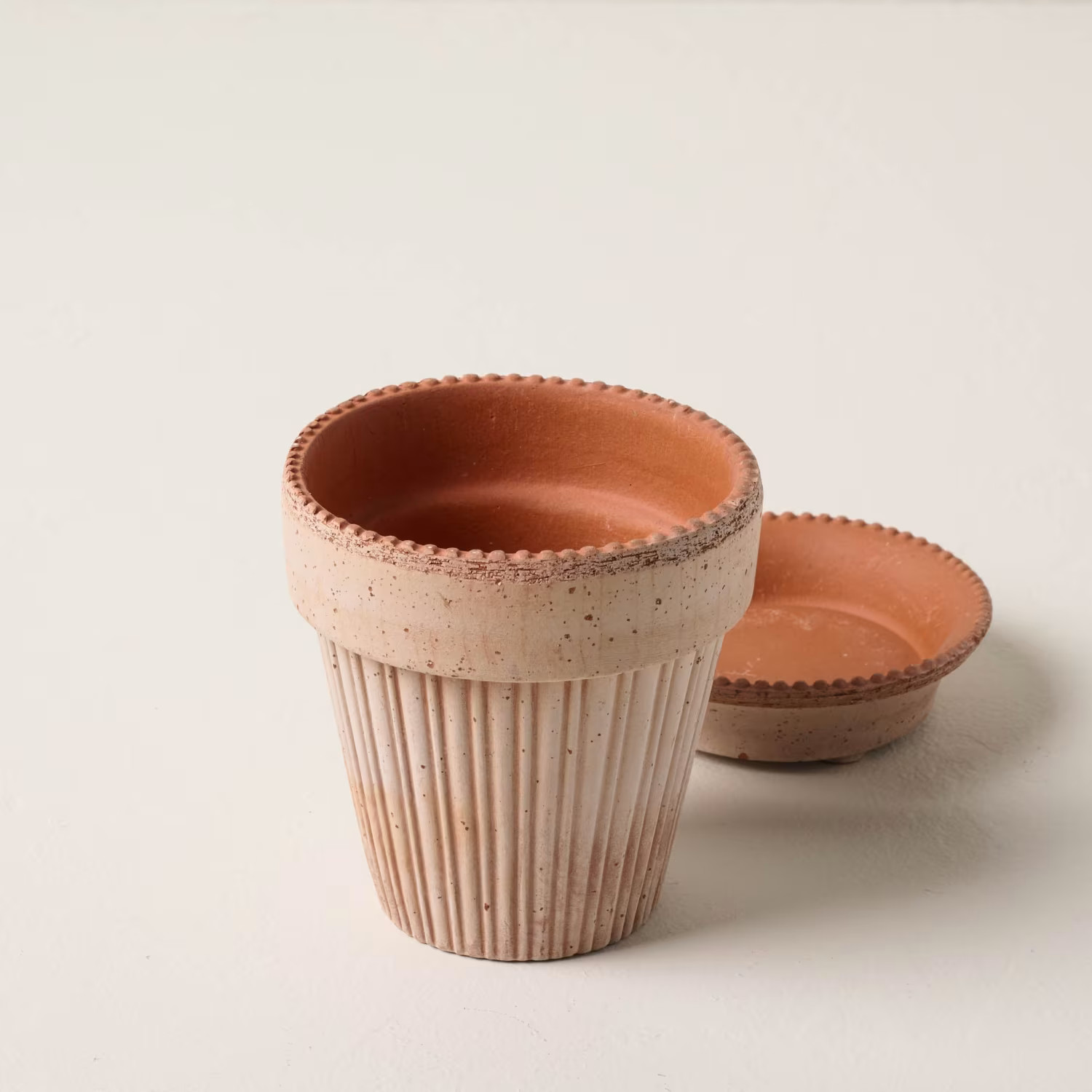 Terracotta Dotted Bergs Pot | Magnolia