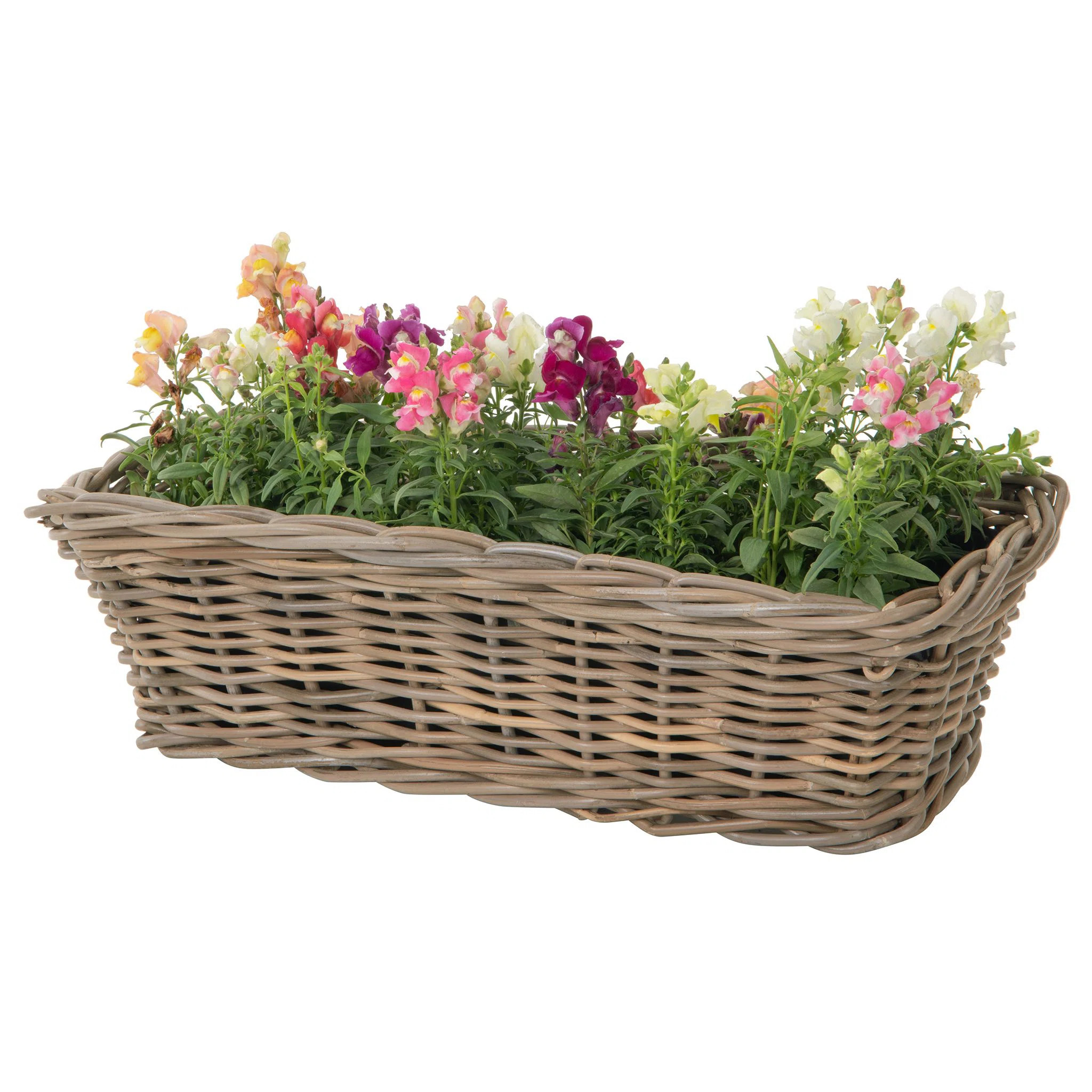 Bay Isle Home™ Alshareef Handmade Planter Box | Wayfair | Wayfair North America