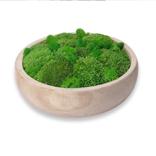 ACADOIT Moss Bowl Centerpiece Table Decor Moss Planter Preserved Moss Gift Wood Nature Bowl One Gift Wedding Centrepieces (burlywood-ROUND-11) | Amazon (US)