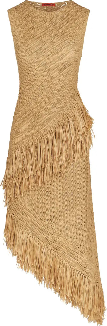 Beja Crochet Dress | Nordstrom