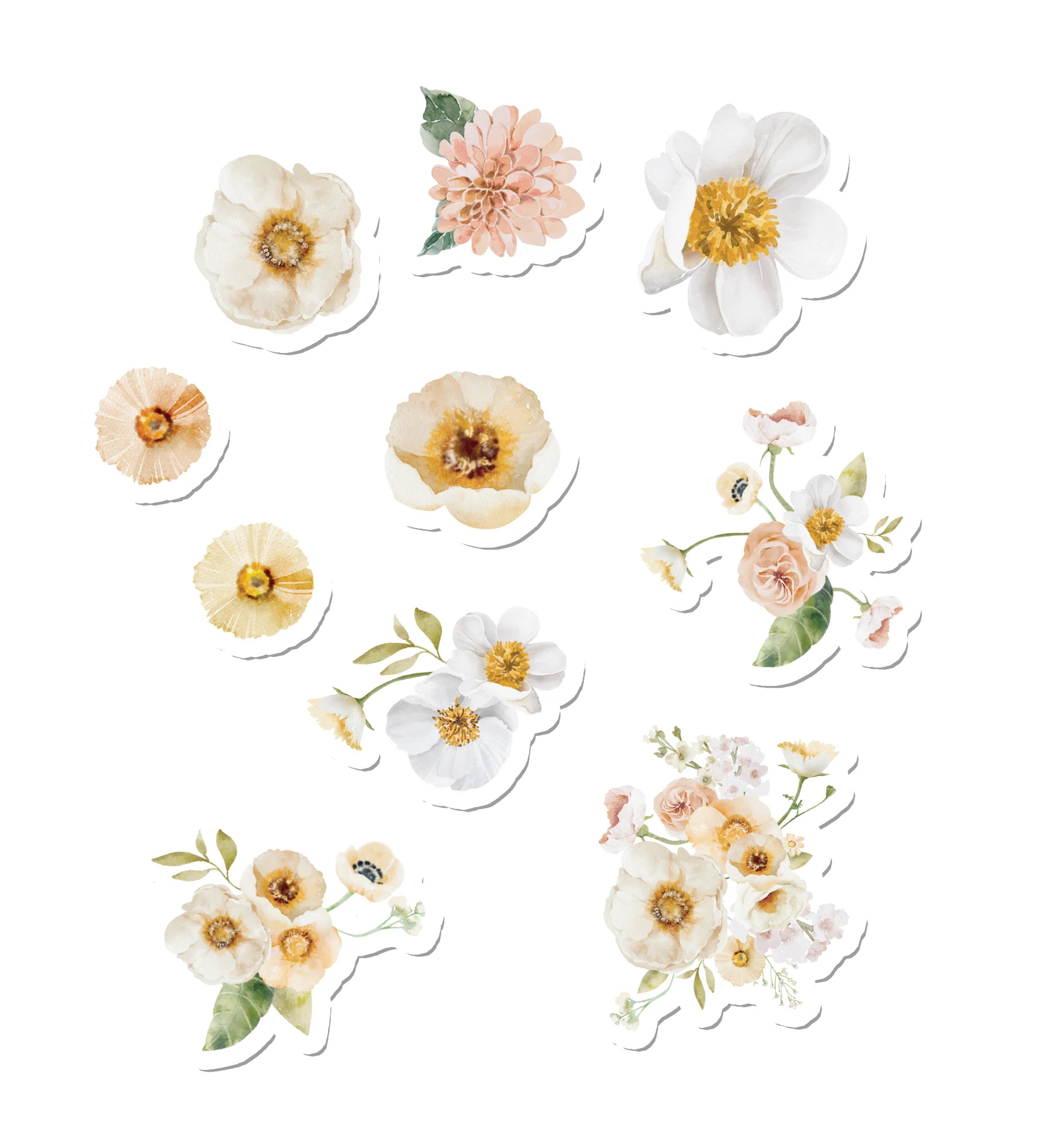 Wildflowers | Suteka