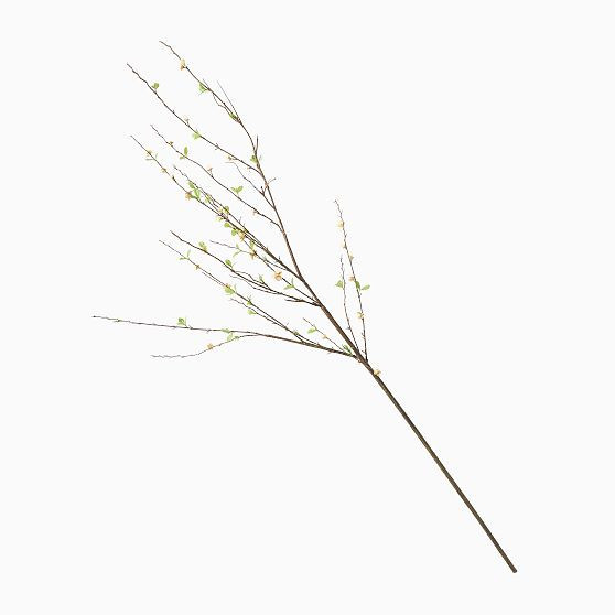 Faux Blossom Branch, 57"", Green | West Elm (US)