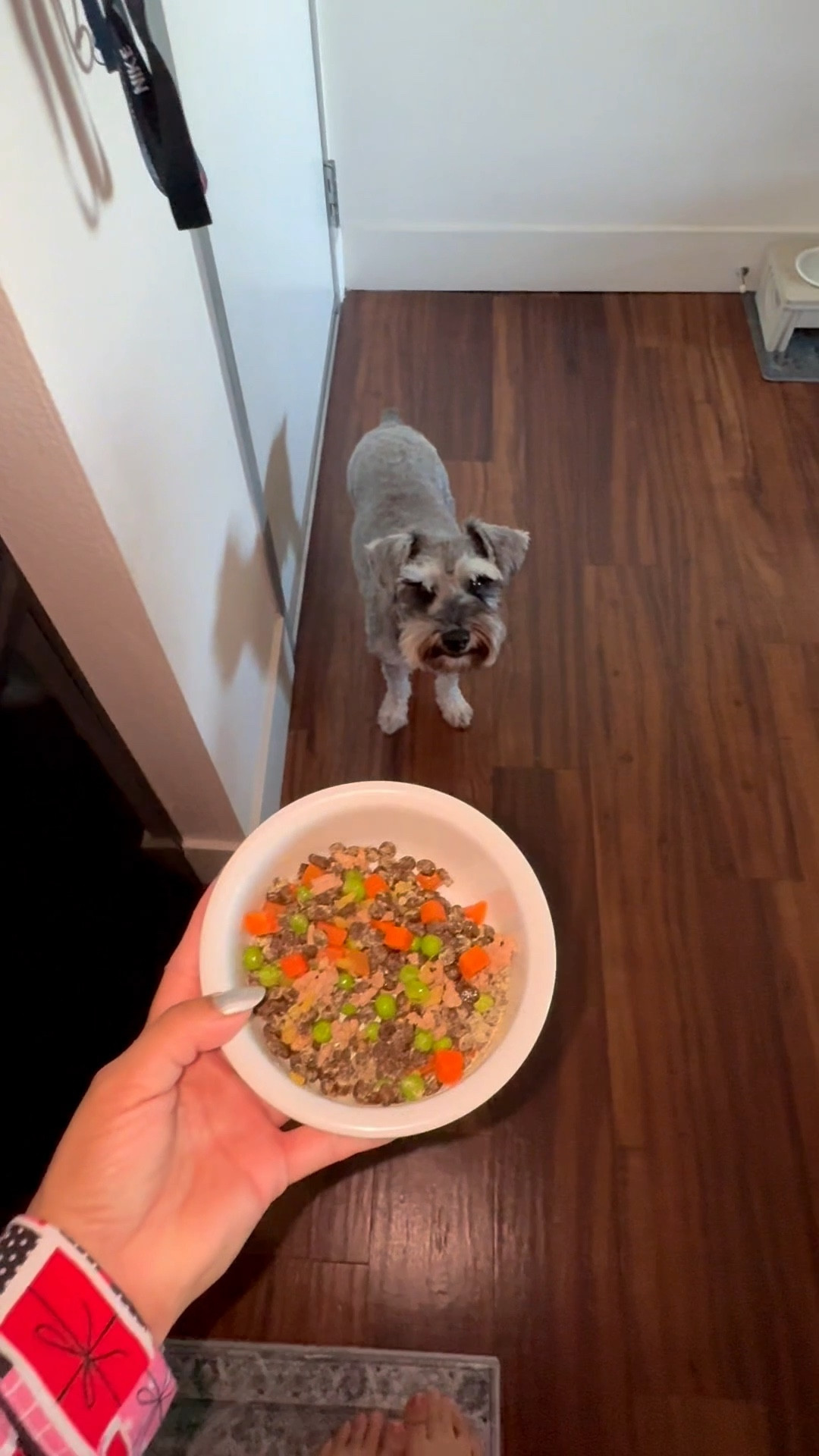 When your dog is your baby, he gets meal preps & vitamins too! 

#LTKdayinmylife #LTKU #LTKmorningroutine